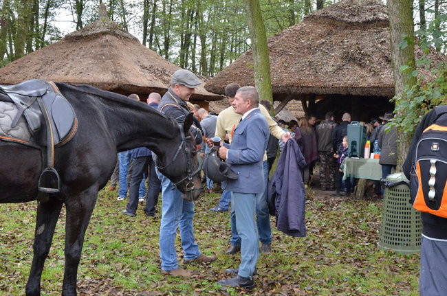 Za lisią kitą (zdjęcia)