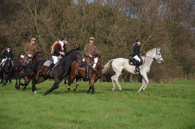 Za lisią kitą (zdjęcia)