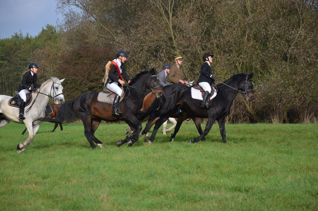 Za lisią kitą (zdjęcia)