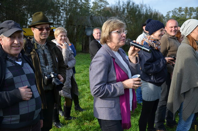 Za lisią kitą (zdjęcia)
