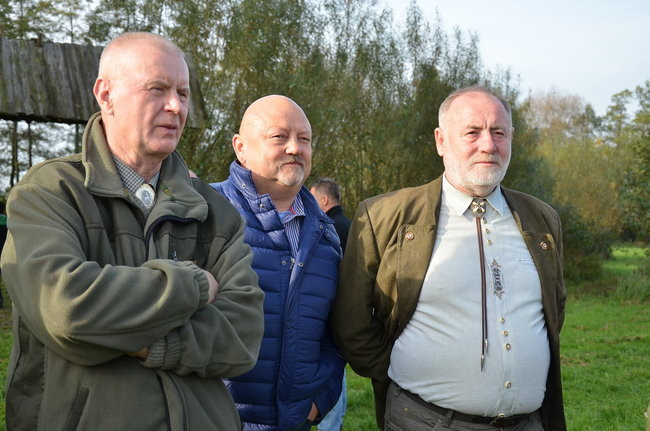 Za lisią kitą (zdjęcia)