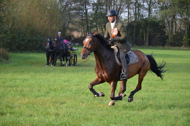 Za lisią kitą (zdjęcia)