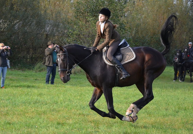 Za lisią kitą (zdjęcia)