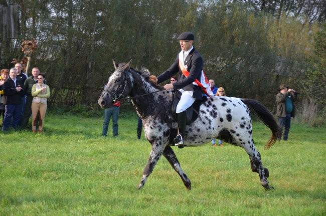 Za lisią kitą (zdjęcia)