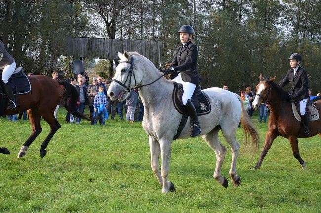 Za lisią kitą (zdjęcia)