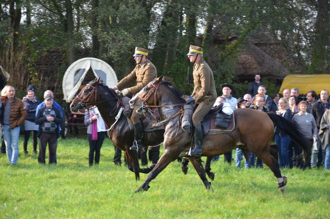 Za lisią kitą (zdjęcia)