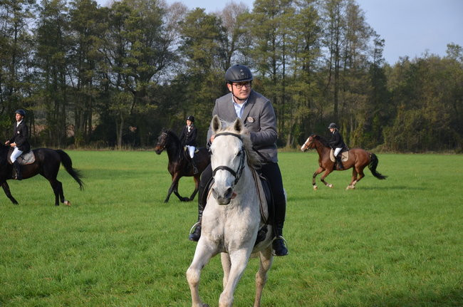 Za lisią kitą (zdjęcia)