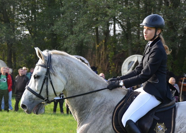 Za lisią kitą (zdjęcia)