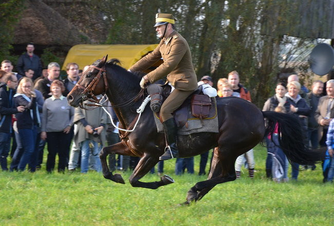 Za lisią kitą (zdjęcia)