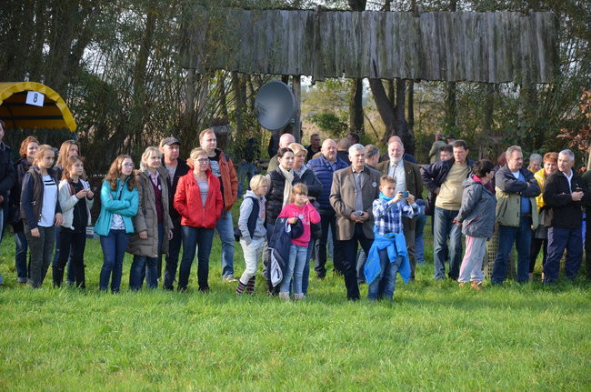 Za lisią kitą (zdjęcia)