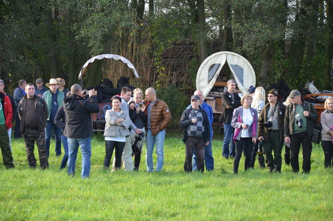 Za lisią kitą (zdjęcia)