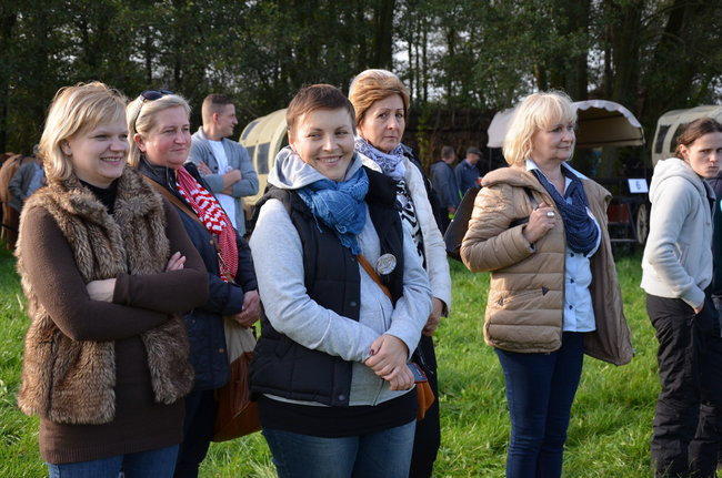 Za lisią kitą (zdjęcia)