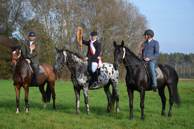 Za lisią kitą (zdjęcia)