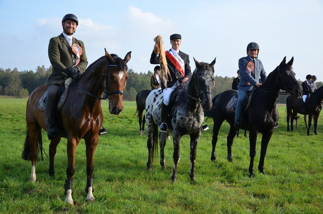 Za lisią kitą (zdjęcia)