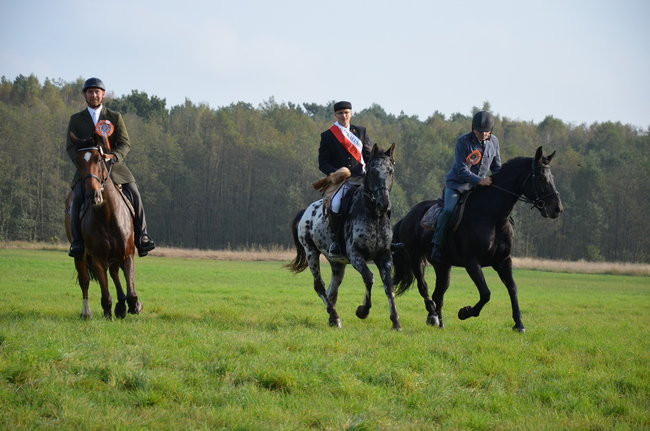 Za lisią kitą (zdjęcia)