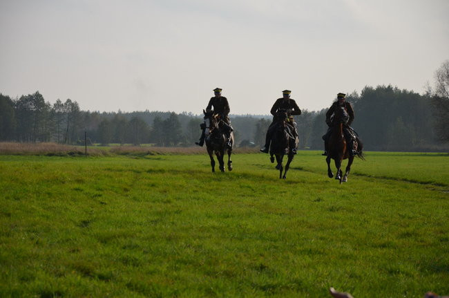 Za lisią kitą (zdjęcia)