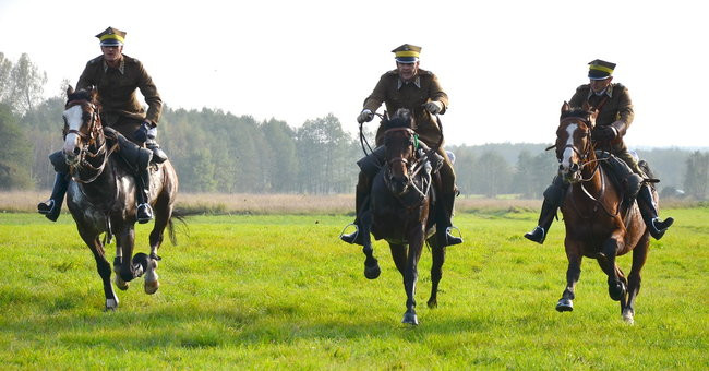 Za lisią kitą (zdjęcia)