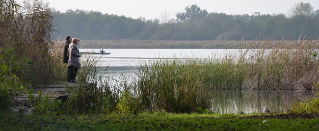 Za lisią kitą (zdjęcia)