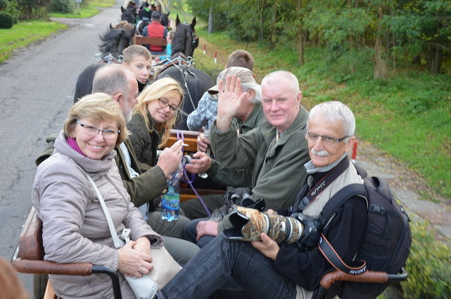 Za lisią kitą (zdjęcia)