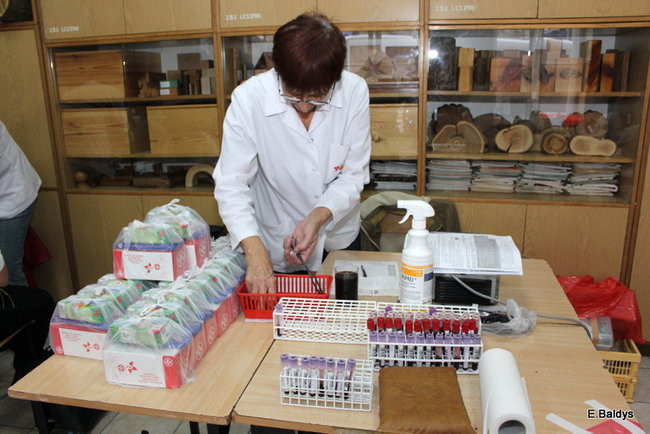 Oddali ponad 18 litrów krwi (zdjęcia)