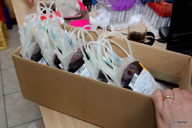 Oddali ponad 18 litrów krwi (zdjęcia)