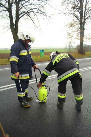 Rozlała się substancja ropopochodna (zdjęcia)