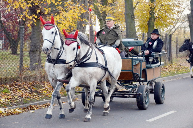 Kawalerzyści wyjechali na ulice