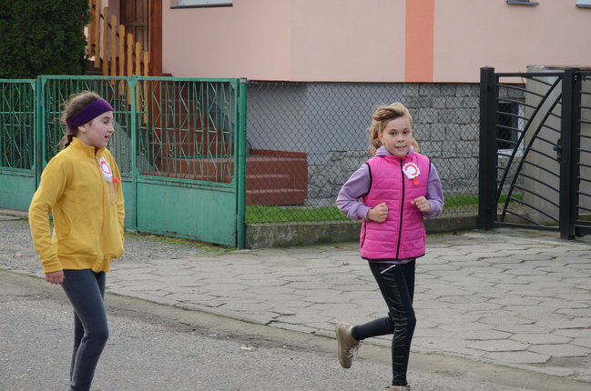 Biegowo-marszowa uczta (zdjęcia)