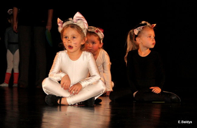 Jubileuszowy koncert Puenty (zdjęcia)