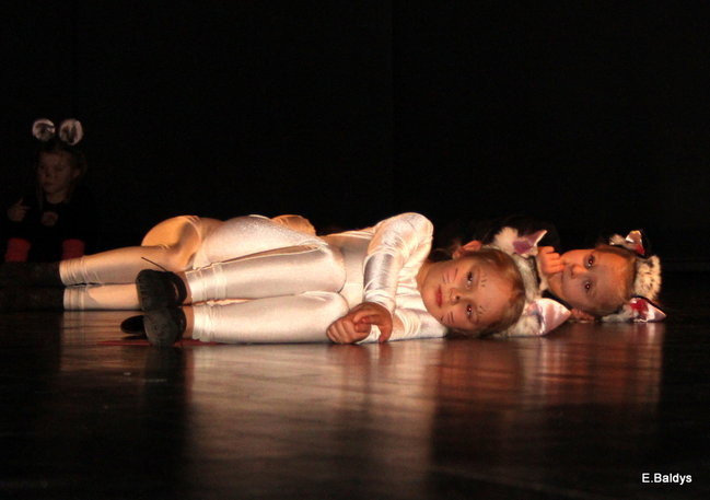 Jubileuszowy koncert Puenty (zdjęcia)