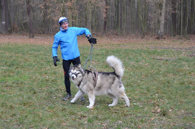 Start w drugie 20-lecie (zdjęcia)