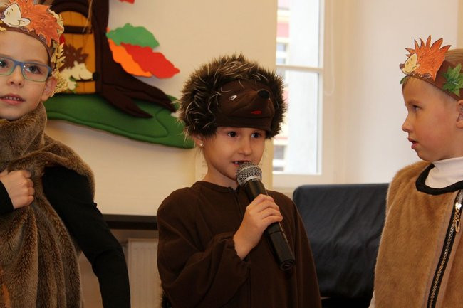 Jeże jak się patrzy (zdjęcia)