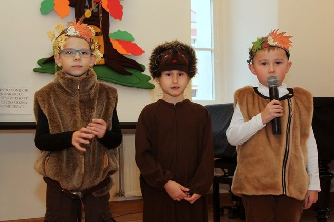 Jeże jak się patrzy (zdjęcia)