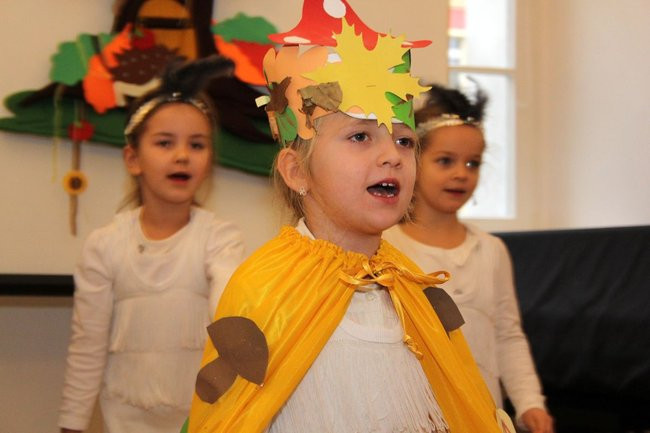 Jeże jak się patrzy (zdjęcia)