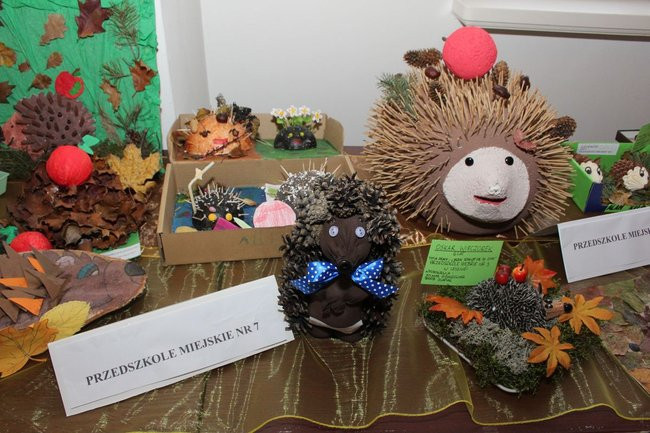 Jeże jak się patrzy (zdjęcia)