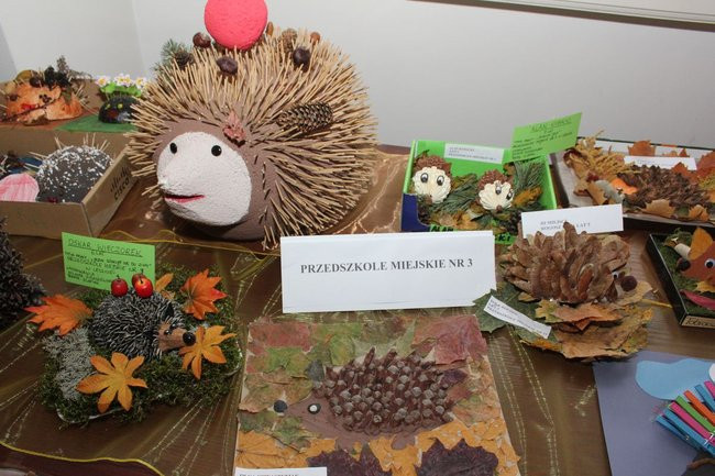 Jeże jak się patrzy (zdjęcia)