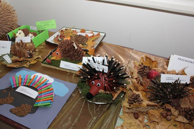 Jeże jak się patrzy (zdjęcia)