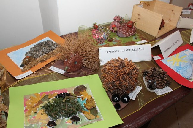 Jeże jak się patrzy (zdjęcia)