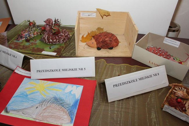 Jeże jak się patrzy (zdjęcia)