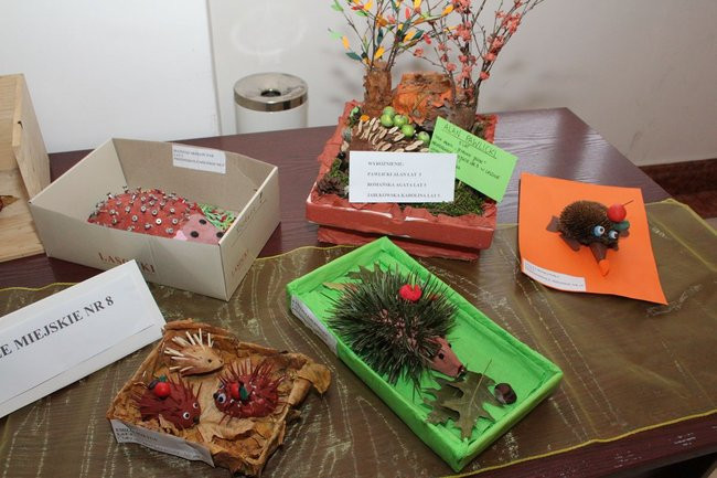 Jeże jak się patrzy (zdjęcia)