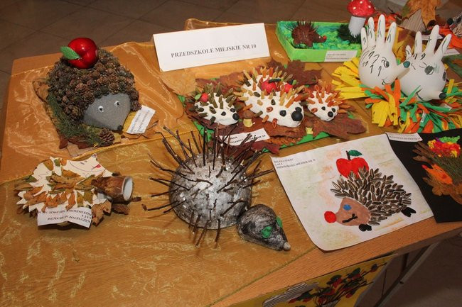 Jeże jak się patrzy (zdjęcia)