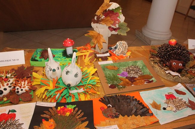 Jeże jak się patrzy (zdjęcia)