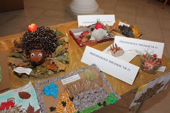 Jeże jak się patrzy (zdjęcia)