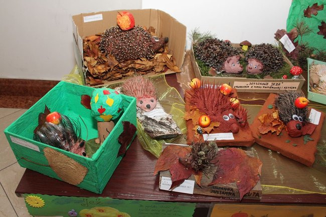 Jeże jak się patrzy (zdjęcia)