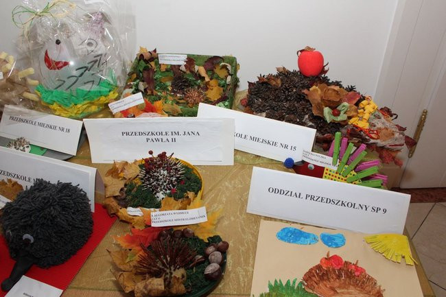 Jeże jak się patrzy (zdjęcia)