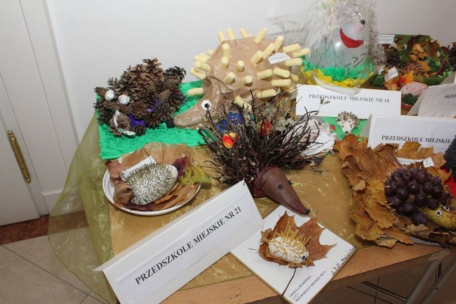 Jeże jak się patrzy (zdjęcia)