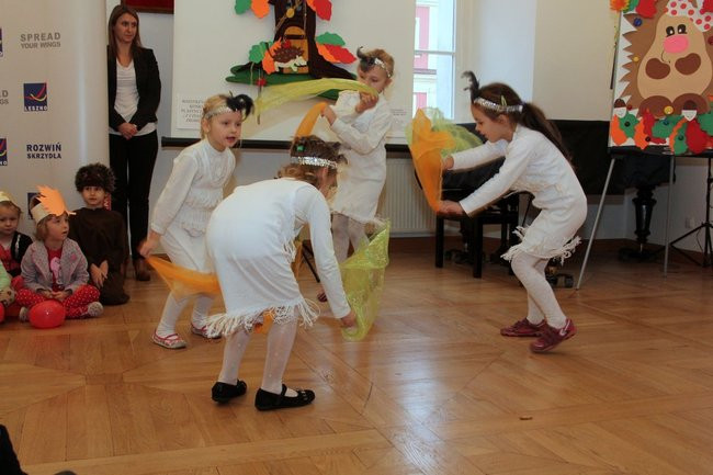 Jeże jak się patrzy (zdjęcia)