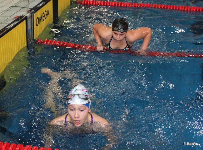 Pływali w Lesznie ( zdjęcia )