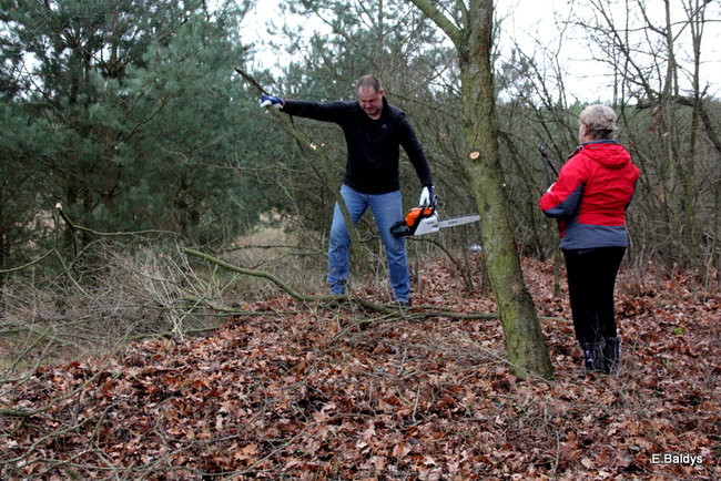 Posprzątali cmentarz ewangelicki (zdjęcia)
