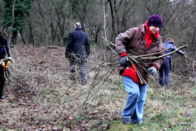 Posprzątali cmentarz ewangelicki (zdjęcia)